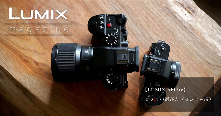 【LUMIX Ability】カメラの選び方（センサー編）