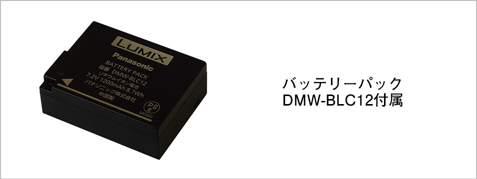 DMW-BLC12