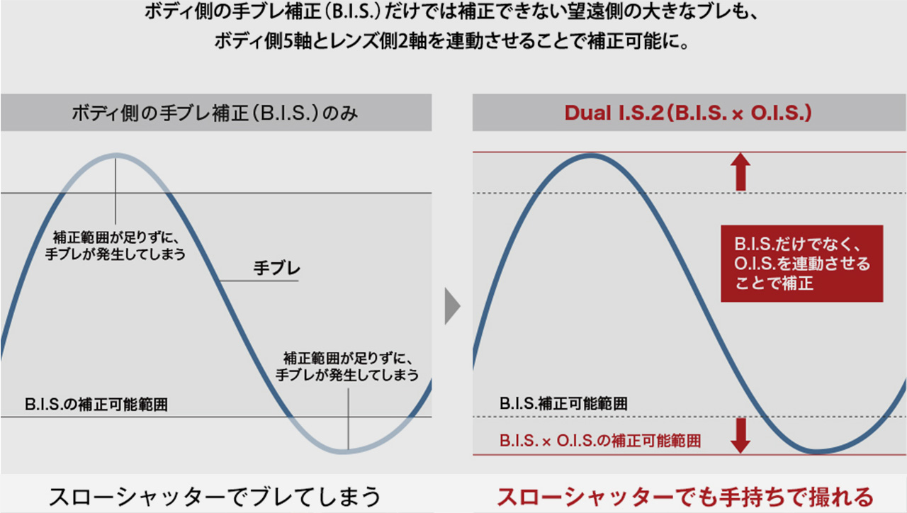 Dual I.S.2 解説図