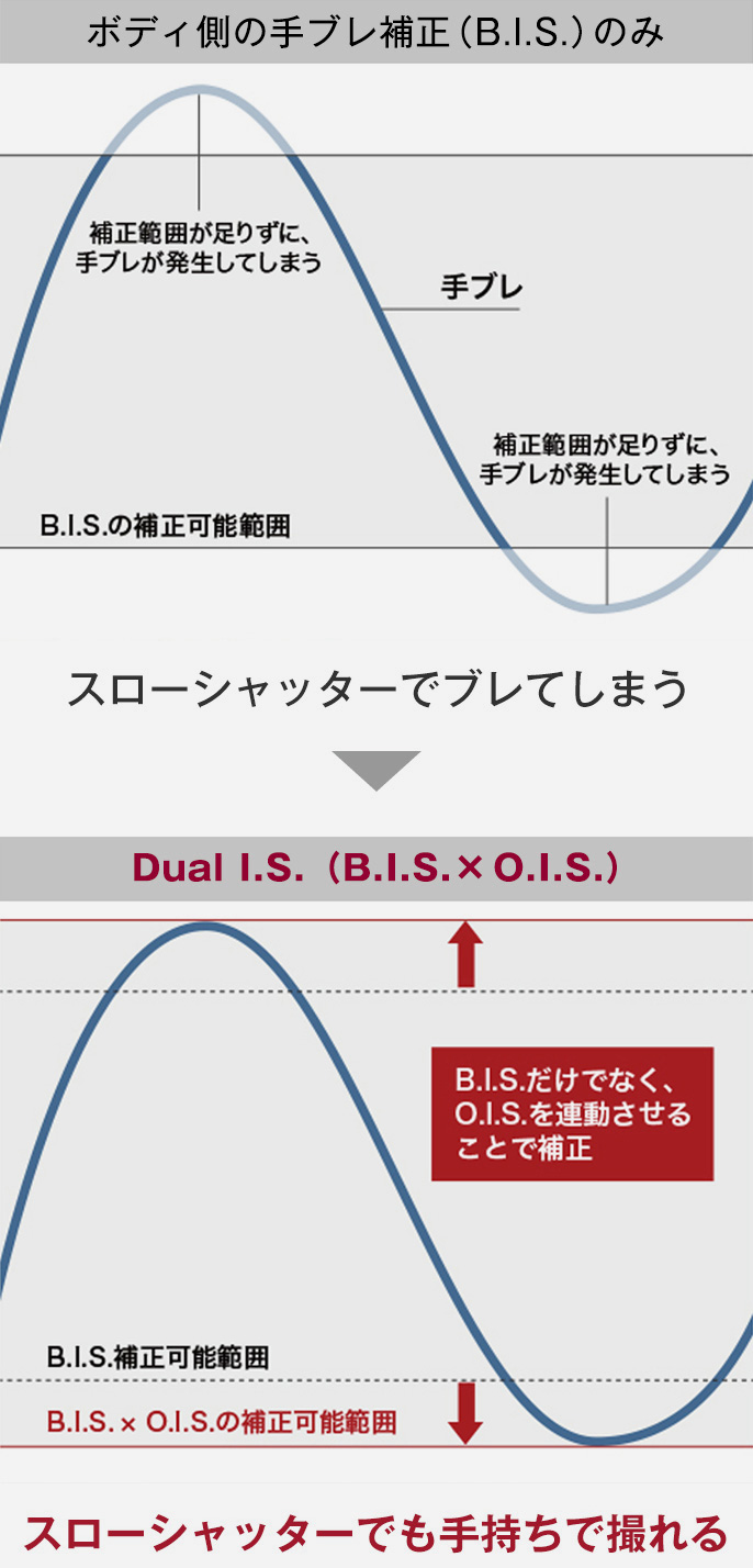 Dual I.S.2 解説図