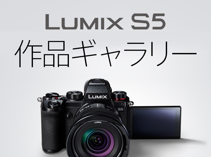 画像：LUMIX S5 作品ギャラリー