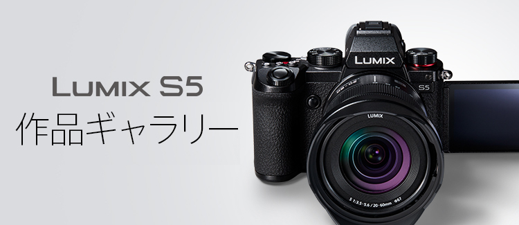 画像：LUMIX S5 作品ギャラリー