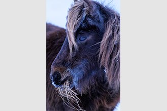 画像：岡田 敦 冬 静止画作品サムネイル9