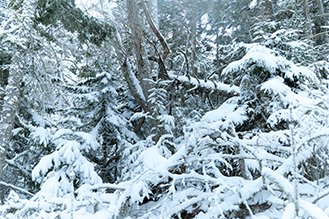 画像：岡田敦 冬 静止画作品サムネイル18