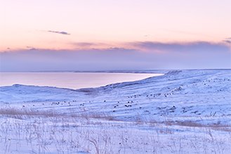 画像：岡田 敦 冬 静止画作品サムネイル4