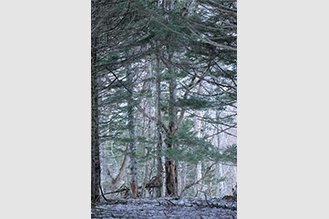 画像：岡田敦 冬 静止画作品サムネイル08