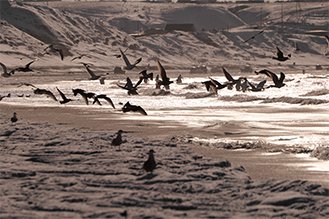 画像：岡田敦 冬 静止画作品サムネイル16