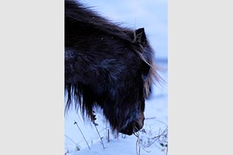 画像：岡田敦 冬 静止画作品サムネイル12