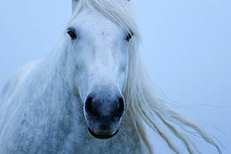 画像：岡田 敦 静止画作品サムネイル1