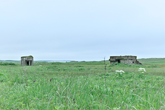 画像：岡田敦 静止画作品サムネイル13