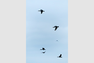 画像：岡田敦 静止画作品サムネイル17