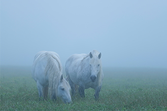 画像：岡田 敦 静止画作品サムネイル5