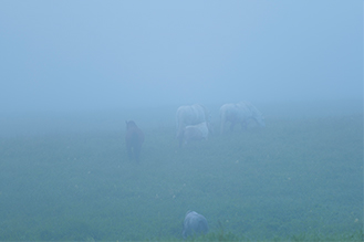 画像：岡田敦 静止画作品サムネイル14