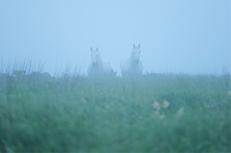 画像：岡田 敦 静止画作品サムネイル3