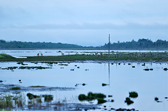 画像：岡田 敦 静止画作品サムネイル7