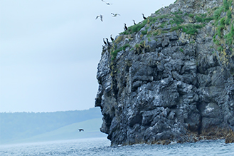 画像：岡田 敦 静止画作品サムネイル2