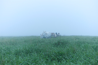 画像：岡田敦 静止画作品サムネイル11