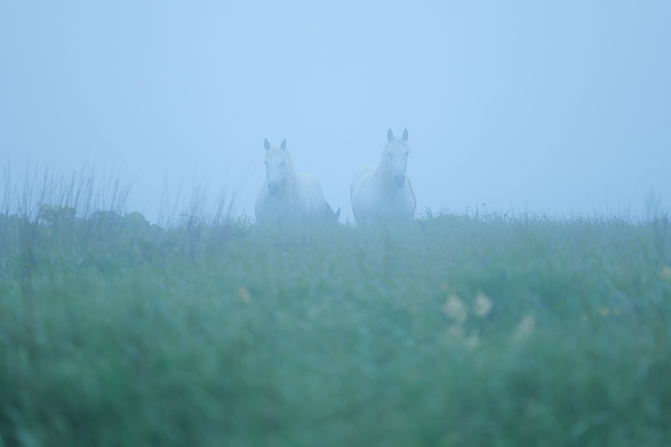 画像：岡田敦 静止画作品3