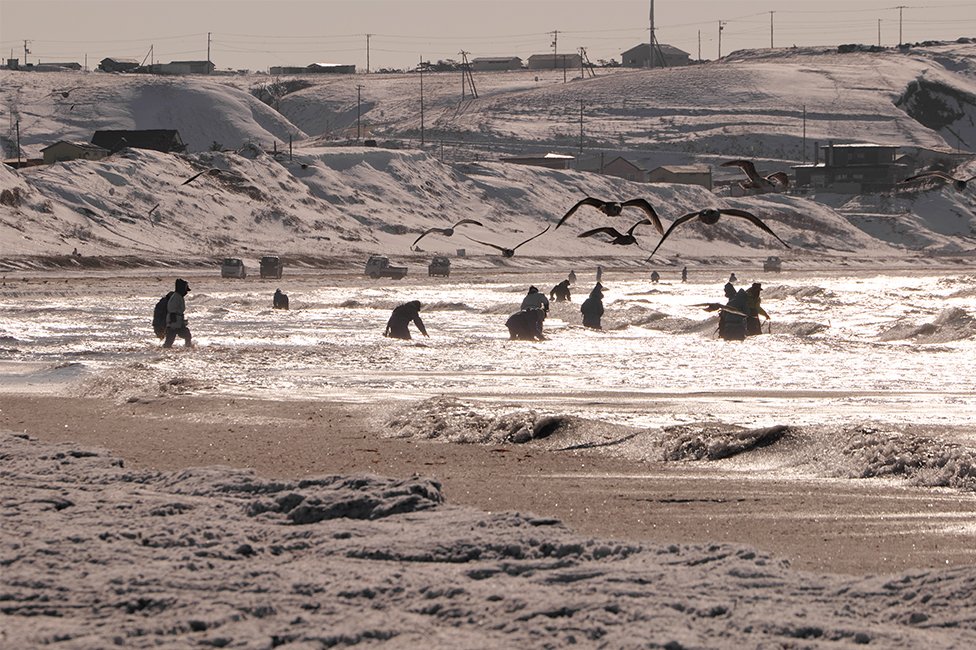 画像：岡田敦 静止画作品23