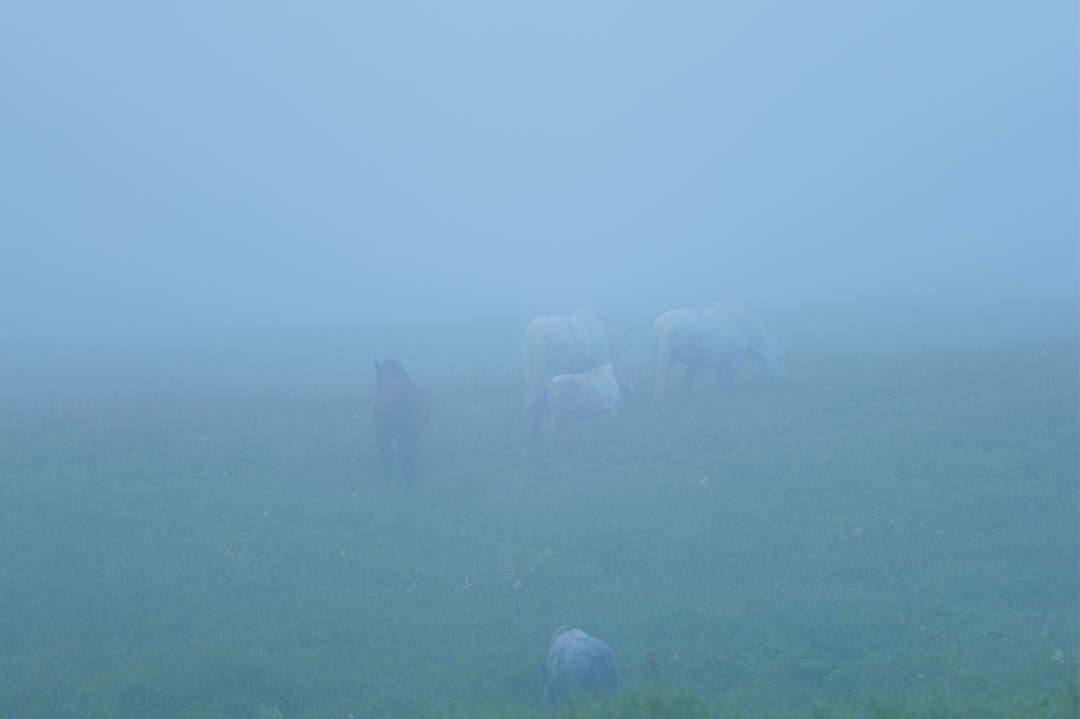 画像：岡田敦 静止画作品14