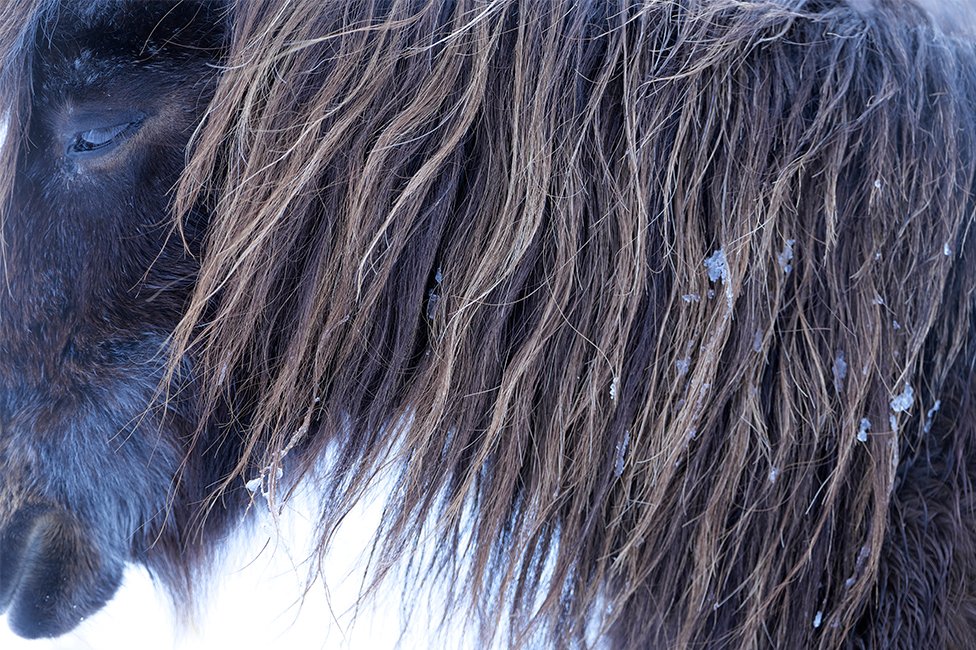 画像：岡田敦 静止画作品32