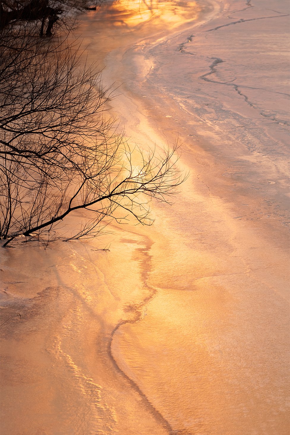 画像：岡田敦 静止画作品27