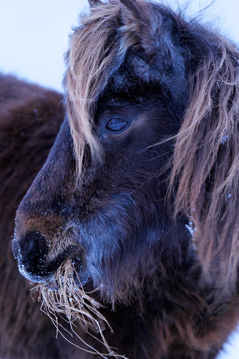 画像：岡田敦 静止画作品26