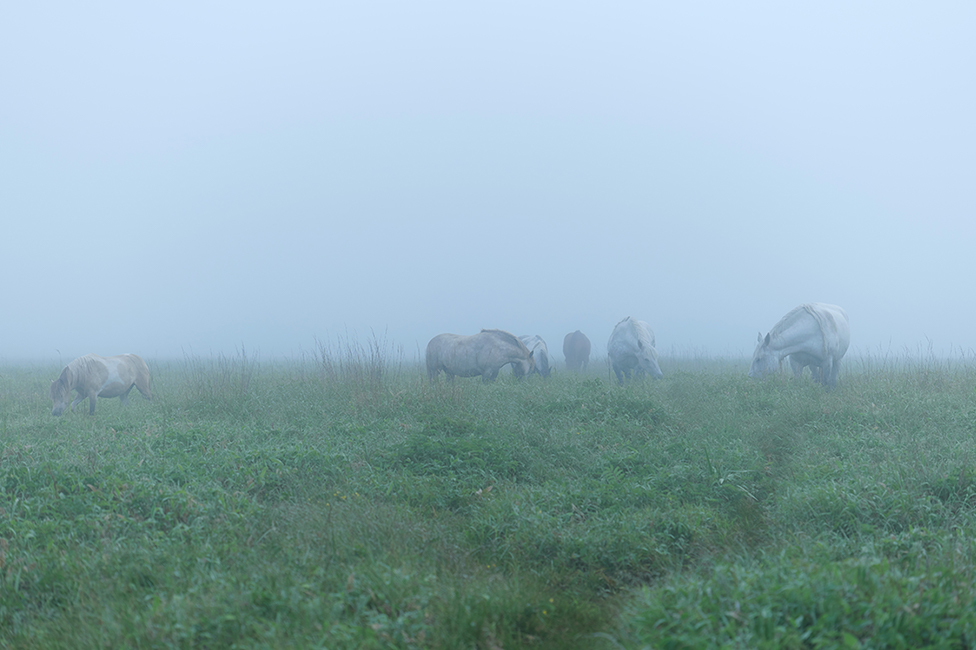 画像：岡田敦 静止画作品12