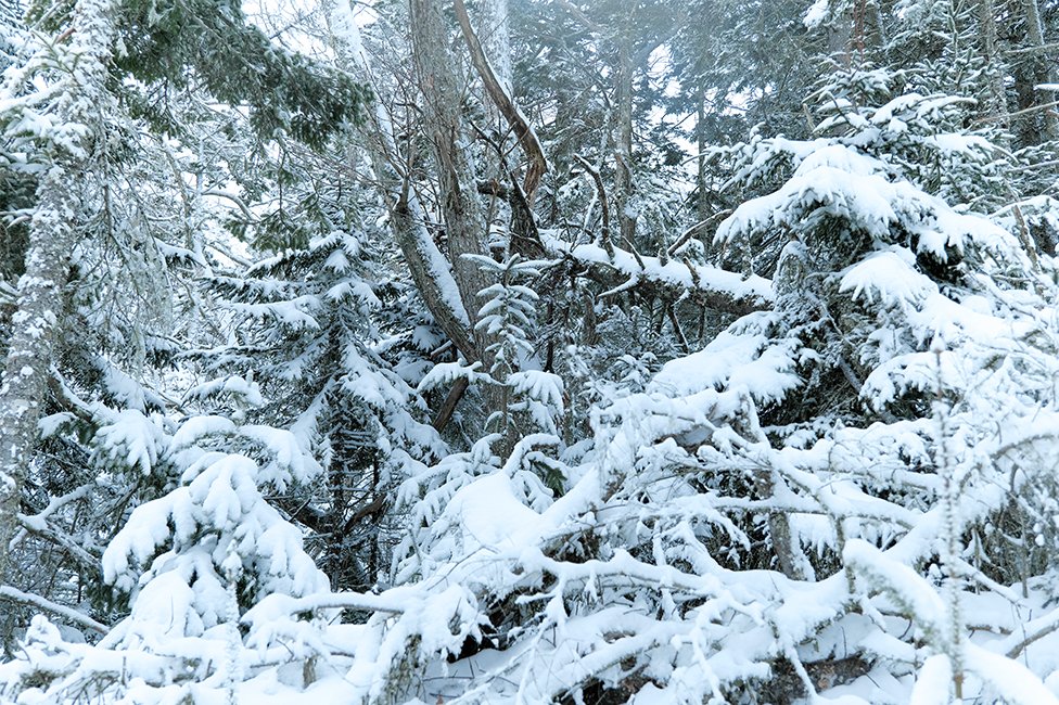 画像：岡田敦 静止画作品18