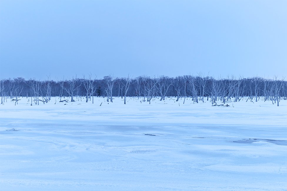 画像：岡田敦 静止画作品19