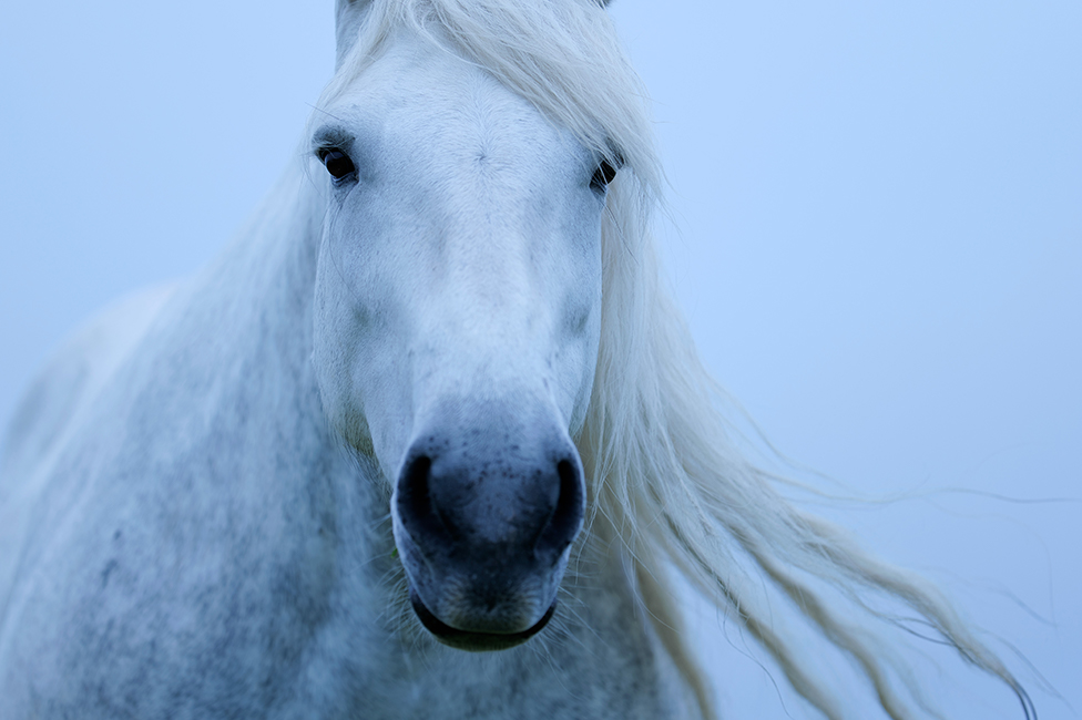 画像：岡田敦 静止画作品1