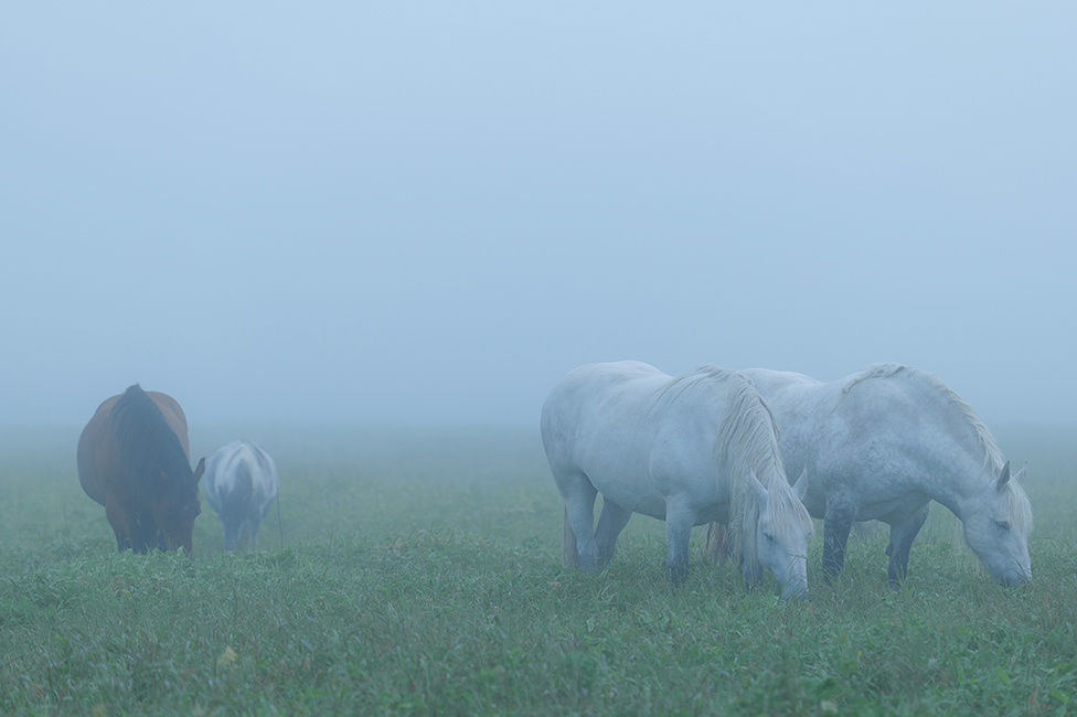 画像：岡田敦 静止画作品6