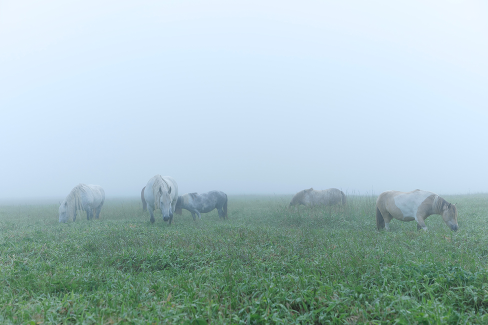 画像：岡田敦 静止画作品9
