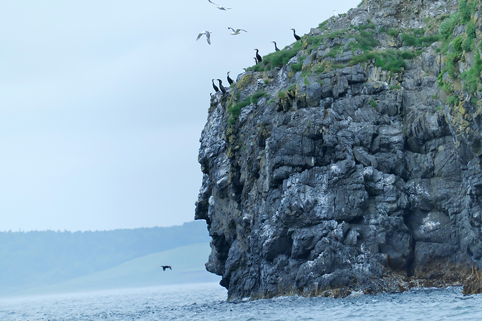 画像：岡田 敦　静止画作品2