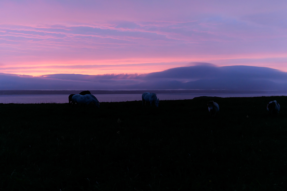 画像：岡田敦 静止画作品15