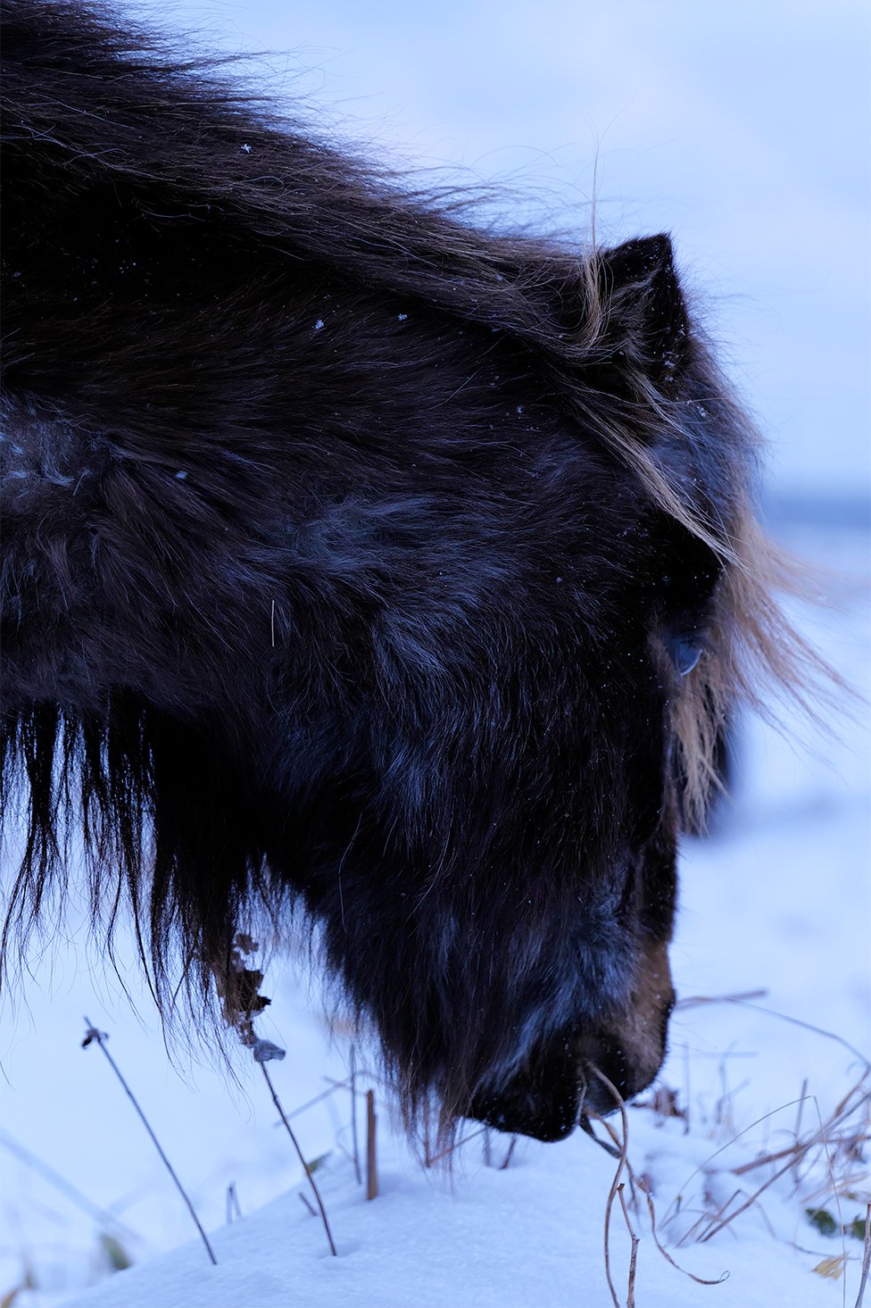 画像：岡田敦 静止画作品29