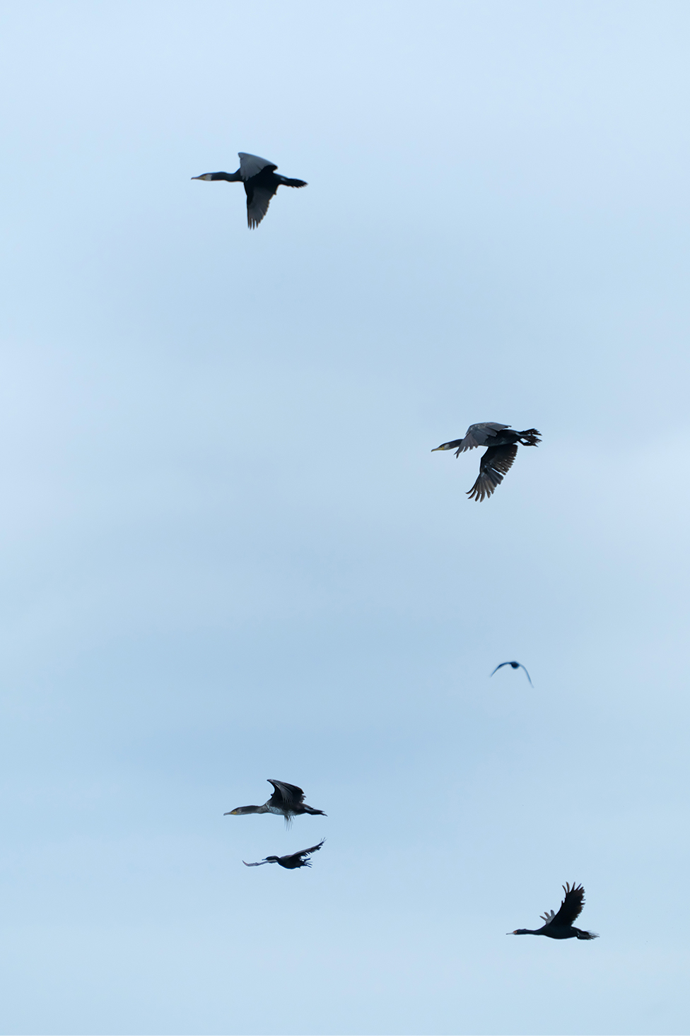 画像：岡田敦 静止画作品17