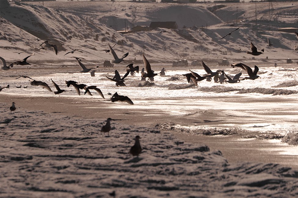 画像：岡田敦 静止画作品33