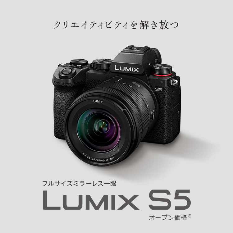 概要 デジタル一眼カメラ／レンズキット DC-S5K | デジタルカメラ 