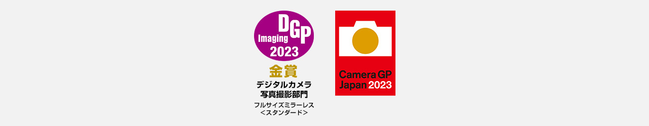 DGP2023受賞ロゴ