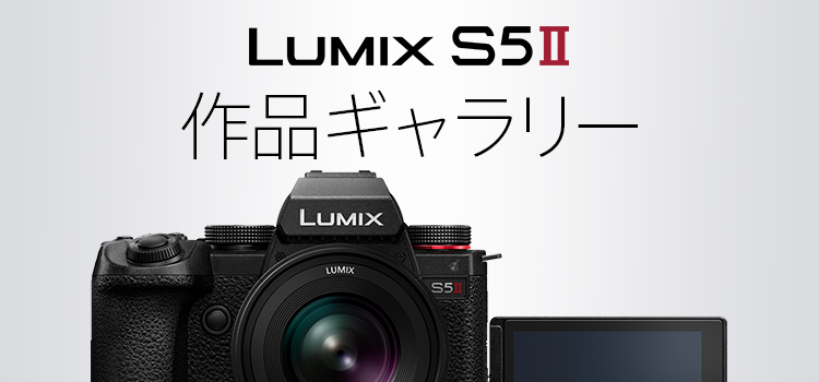 LUMIX S5Ⅱ 作品ギャラリー