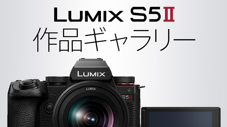 LUMIX S5Ⅱ 作品ギャラリー