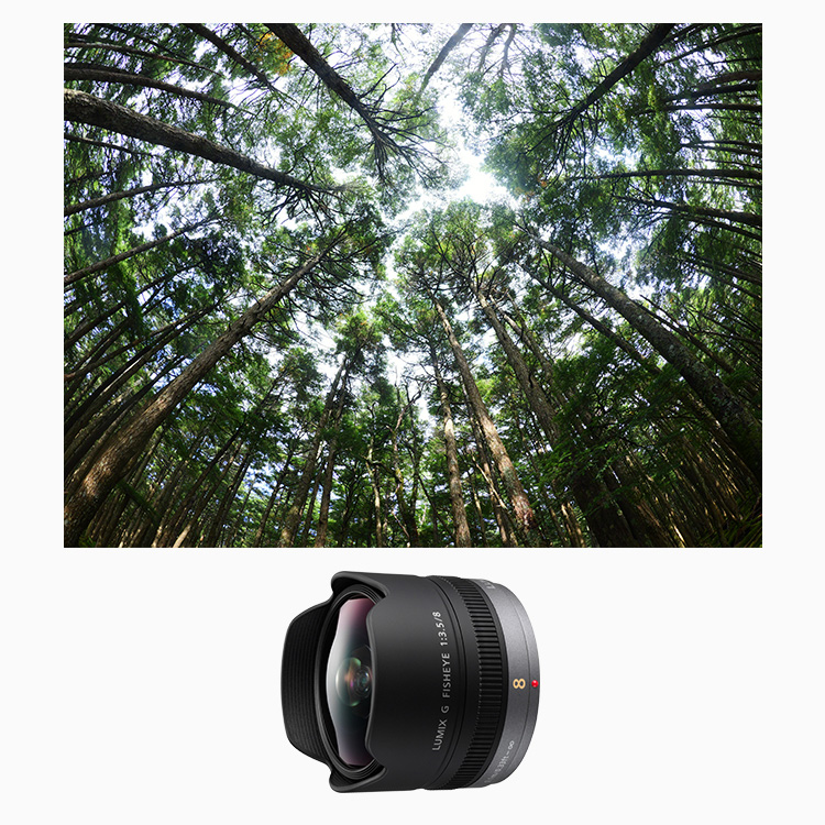概要 デジタル一眼カメラ用交換レンズ H-F008 | デジタルカメラ 