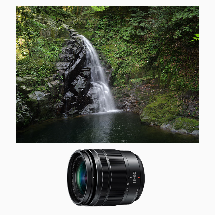 概要 デジタル一眼カメラ用交換レンズ（ブラック） H-FS12060  