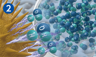 OHラジカルが花粉のタンパク質を変性のイメージ図