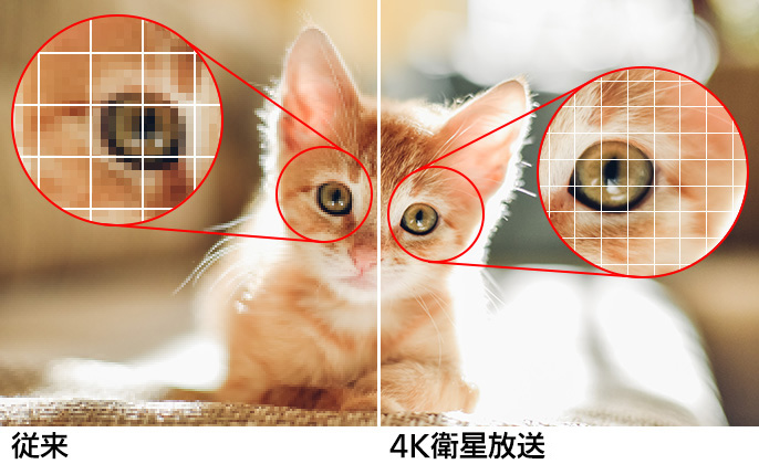 画像：高精細