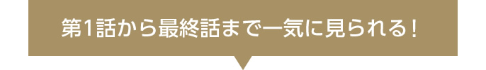 第1話から最終話まで一気に見られる！