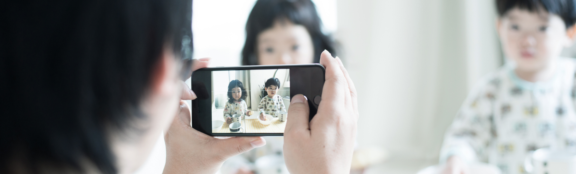 画像：写真・動画・音楽