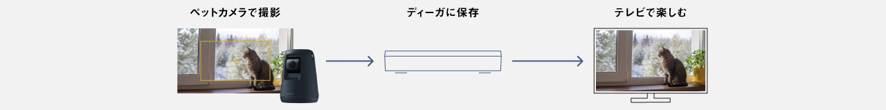 画像：お留守番中のペットを撮った動画をディーガにためられる