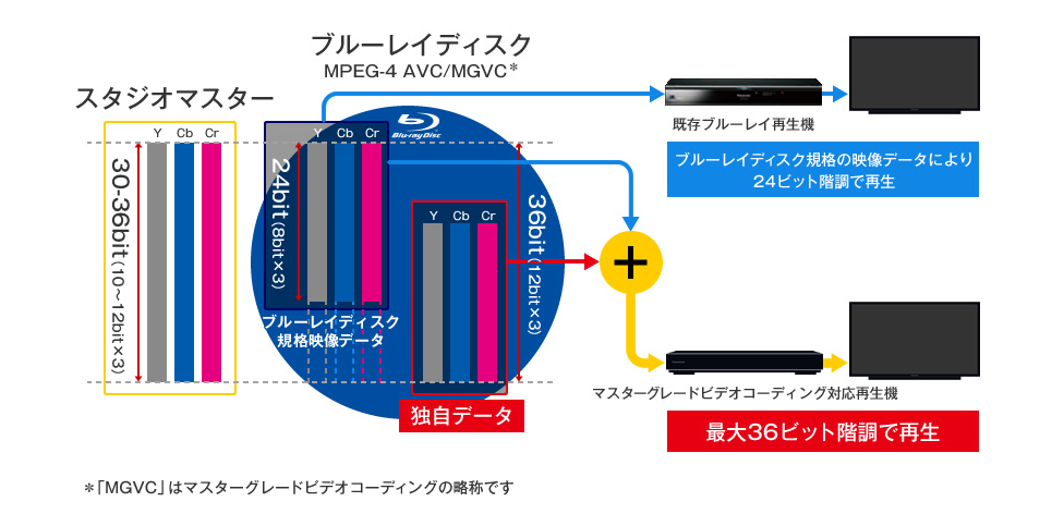 画像：マスターグレードビデオコーディング